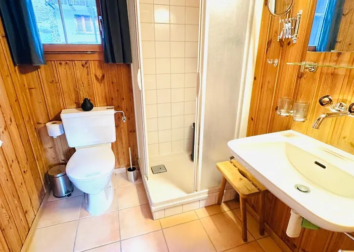 Sternli 1 - Penthouse Feeling In Den Alpen Кандерштег