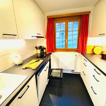 Lägenhet Sternli 1 - Penthouse Feeling In Den Alpen *